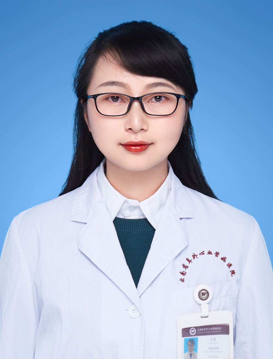 丁双